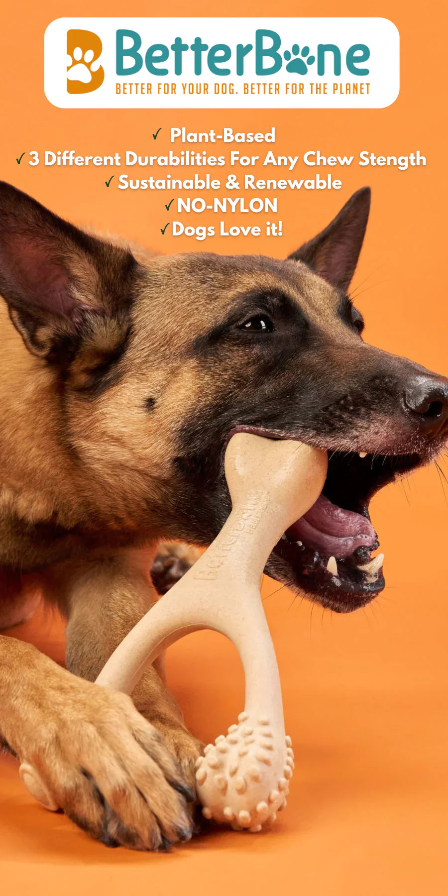 BetterBone: el hueso masticable más seguro y sostenible para tu perro