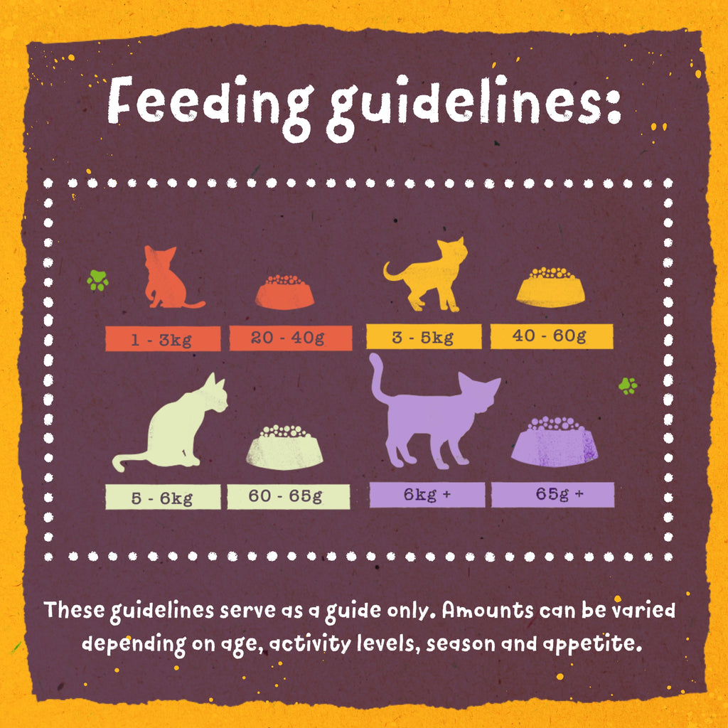 Benevo gatos pienso vegano