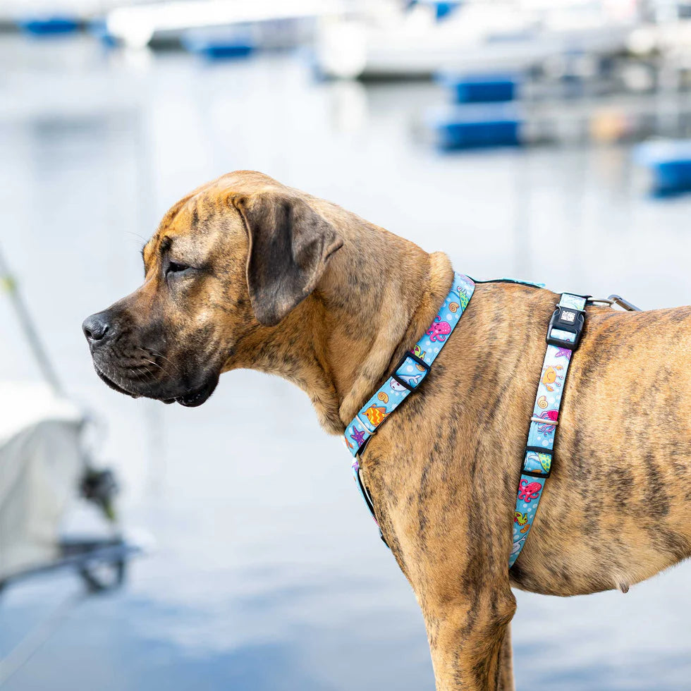Arnés Blue Ocean en H Max & Molly para perros