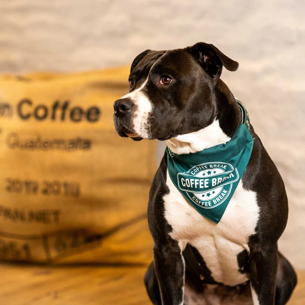 Bandana Coffe Break para perros Max & Molly