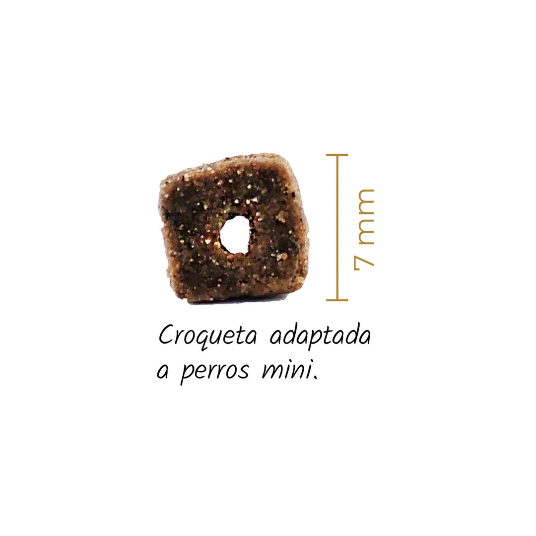 Lenda Mini Meat & Fish - Pienso para Perros Pequeños