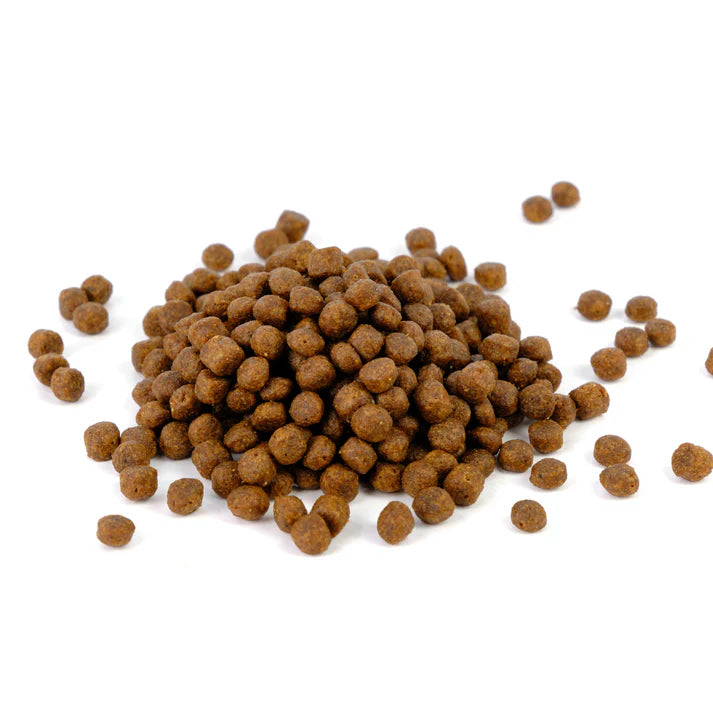 Natura Diet Cat Kitten Chicken