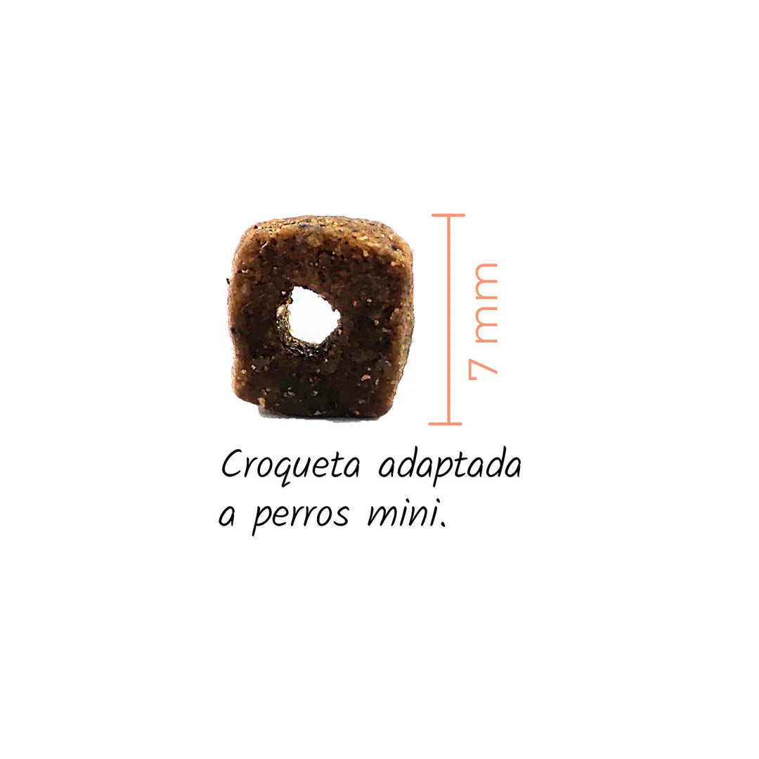 Lenda Mini Atlantic Blue Fish - Pienso para Perros Pequeños