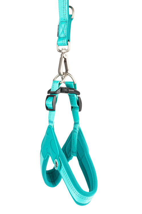 Arnés Q-Fit Matrix 2.0 Turquoise Max & Molly para perros