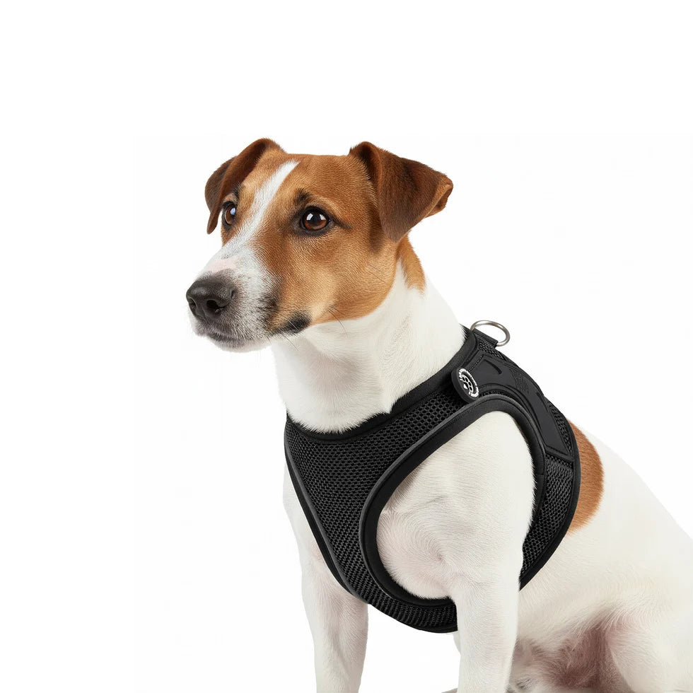 Arnés para perros Air Vest Smart ID Matrix 2.0 Black Max & Molly