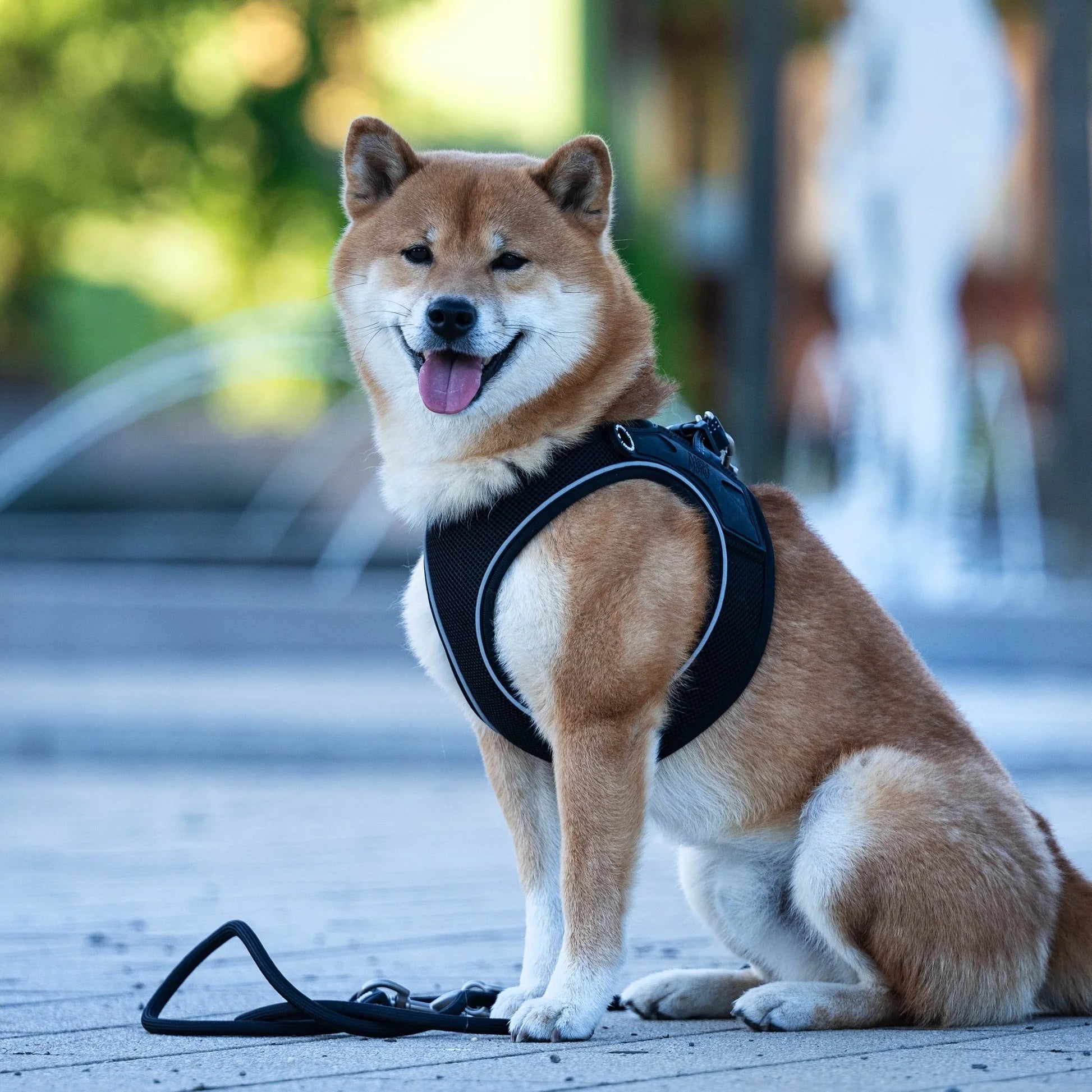 Arnés para perros Air Vest Smart ID Matrix 2.0 Black Max & Molly