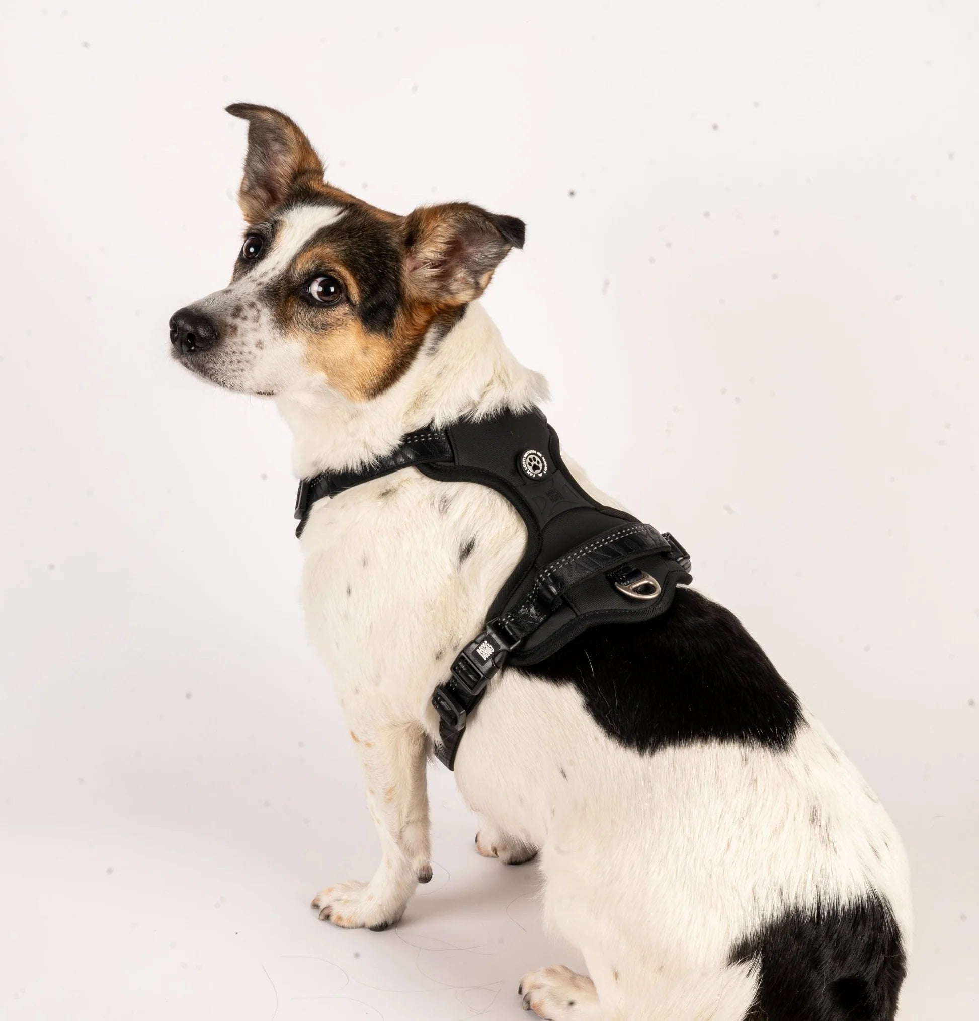Arnés Sport Matrix 2.0 Black para perros de Max & Molly
