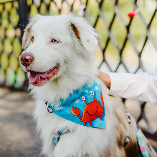 Bandana Blue Ocean para perros Max & Molly