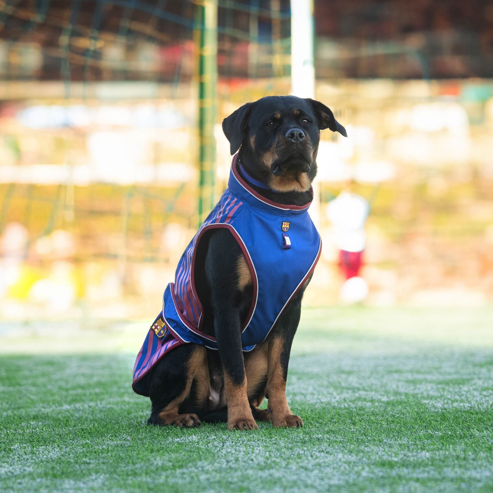 Perro con chubasquero FC Barcelona Max & Molly