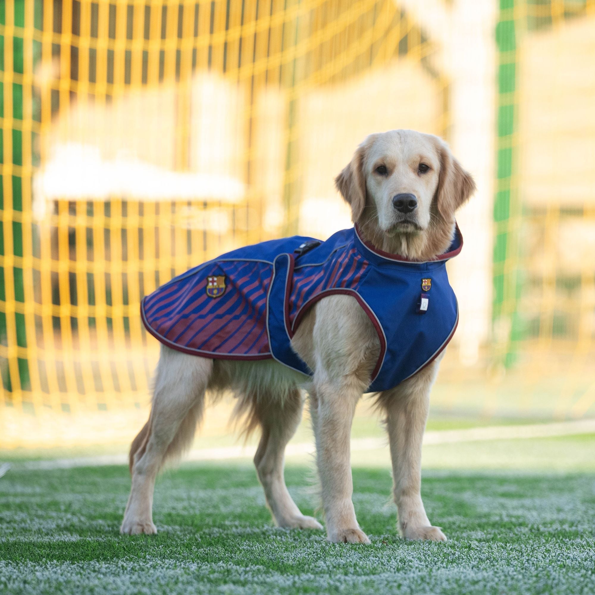 Chubasquero FC Barcelona Max & Molly para perros, vista lateral