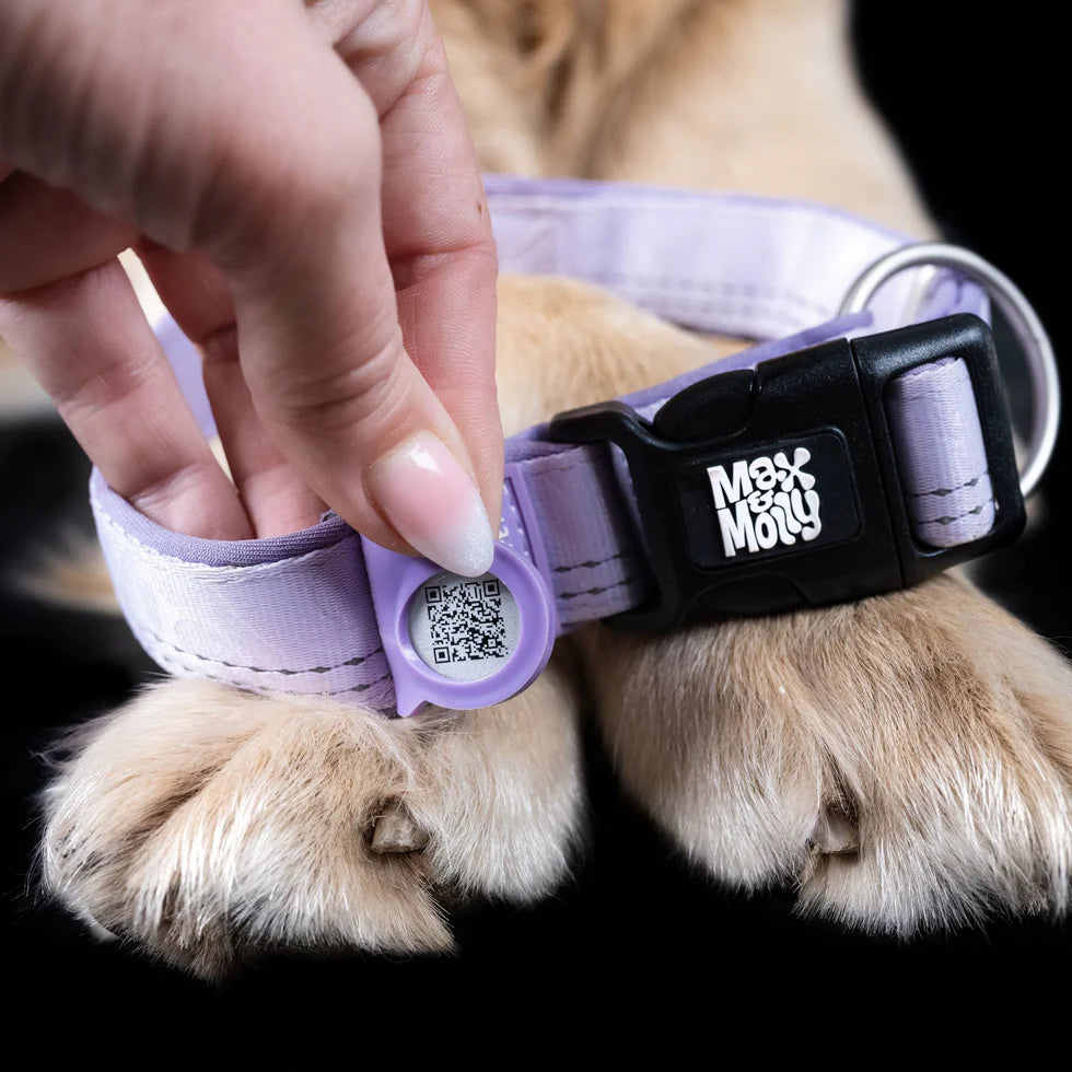 Collar Smart ID Matrix 2.0 Lavender para perros