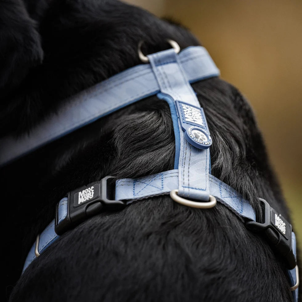 Arnés Comfort Matrix 2.0 Ocean para perros de Max & Molly