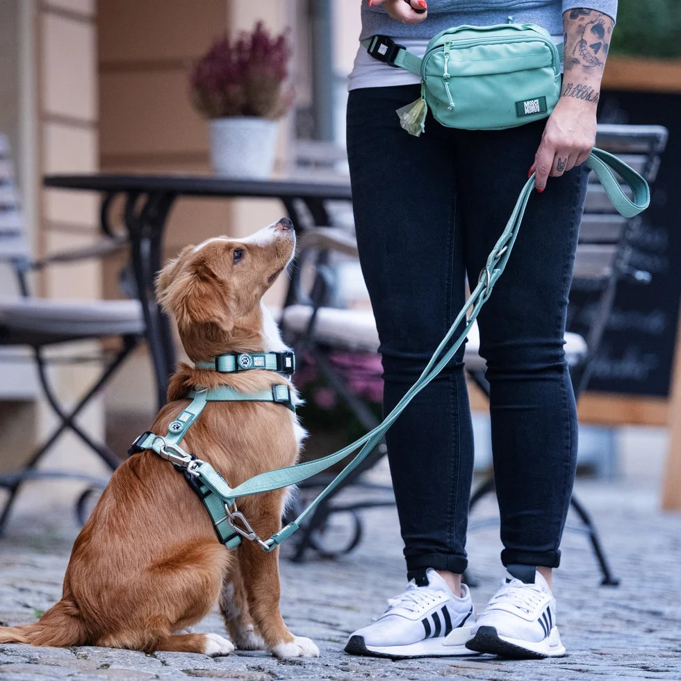 Detalle de la correa multifunción Matrix 2.0 Jade para perros