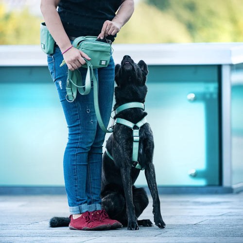 Bolsa de entrenamiento Matrix 2.0 Jade Max & Molly