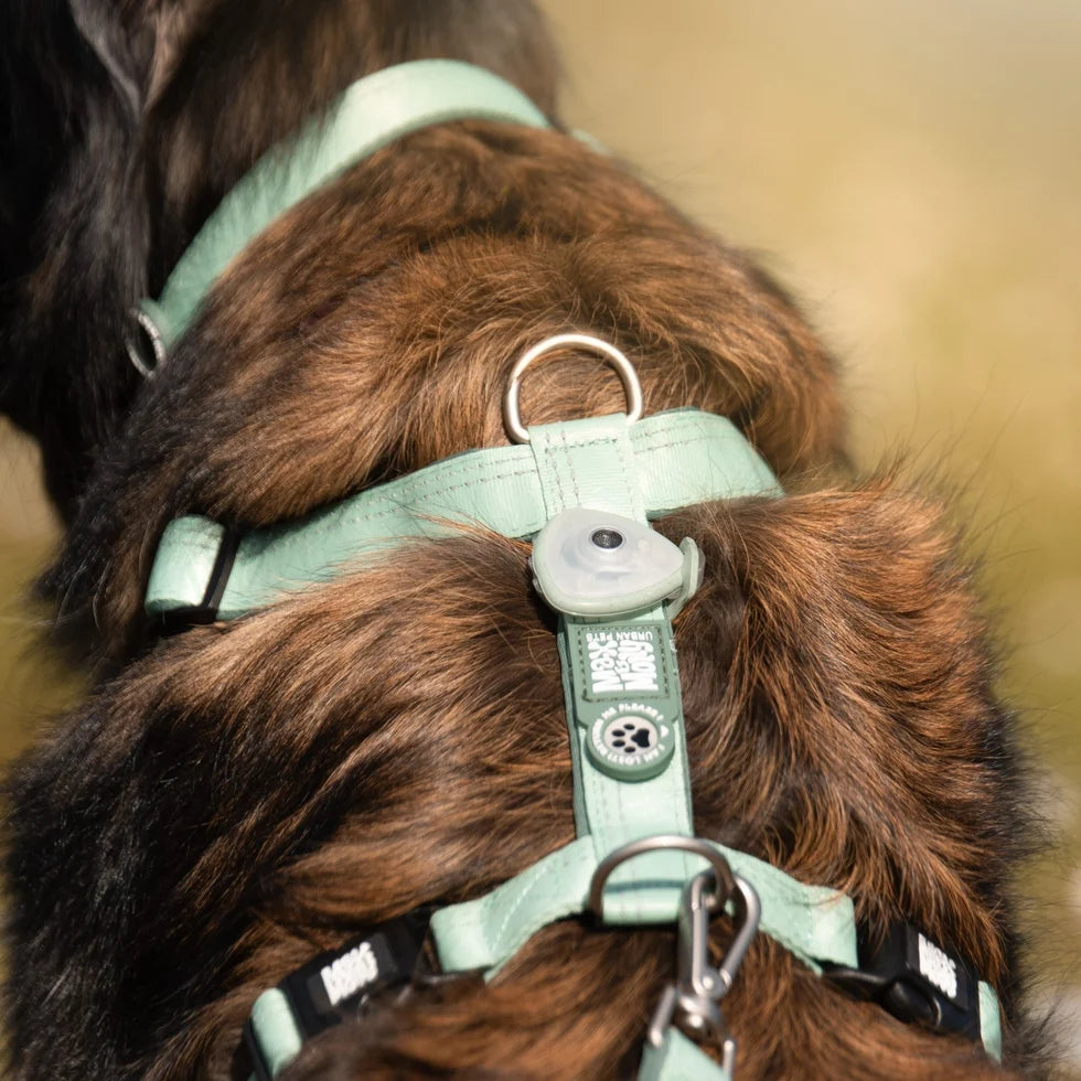 Detalle del arnés Comfort Matrix 2.0 Jade para perros de Max & Molly