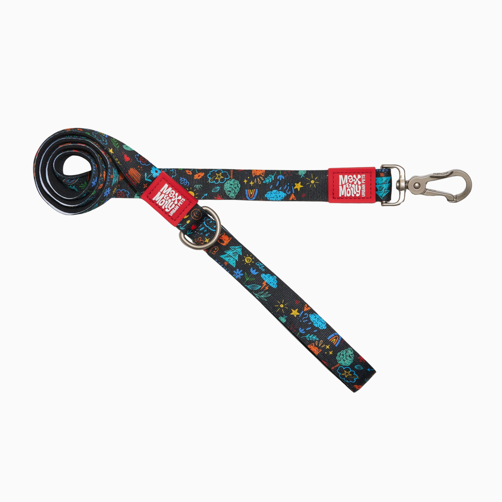 Short Leash - Kindergarten