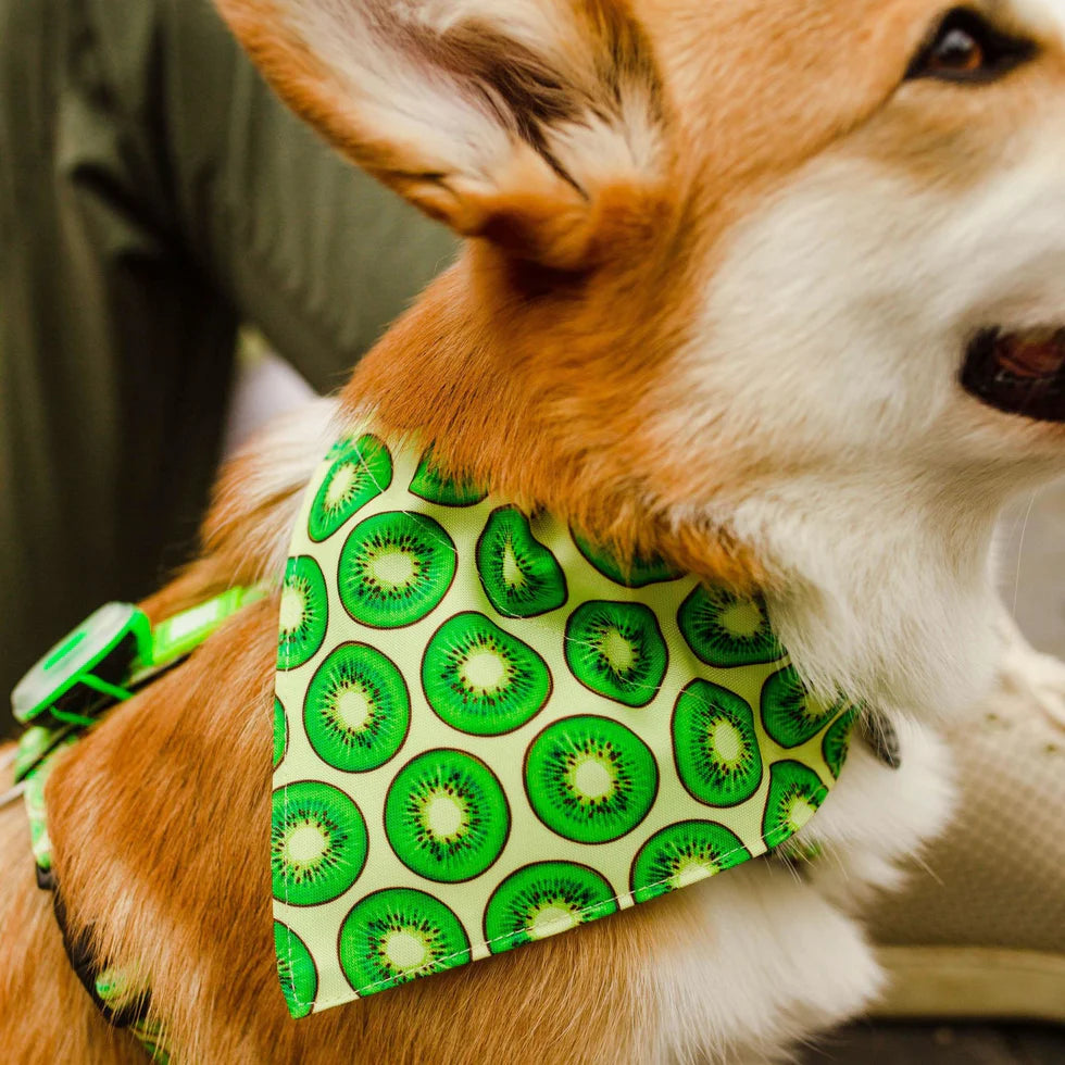 Bandana Kiwi para perros Max & Molly