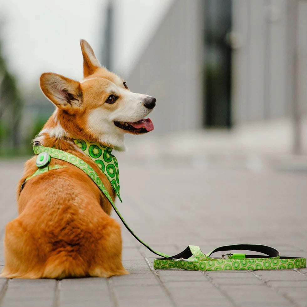 Bandana Kiwi para perros Max & Molly