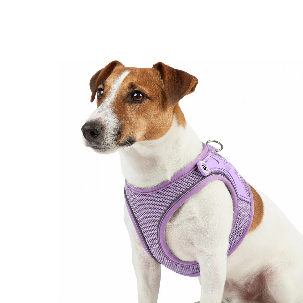 Arnés Air Vest Matrix 2.0 Lavender para perros de Max & Molly
