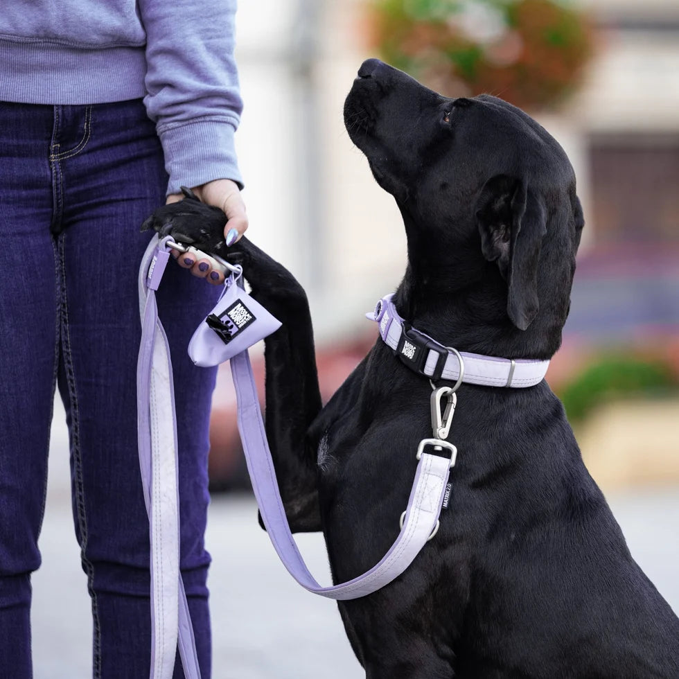 Detalle de la correa multifunción Matrix 2.0 Lavender para perros