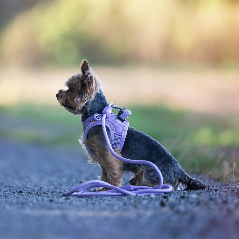 Arnés Air Vest Matrix 2.0 Lavender con correa para perros de Max & Molly