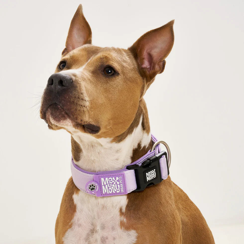 Smart ID Wide Collar - Matrix 2.0 Lavender
