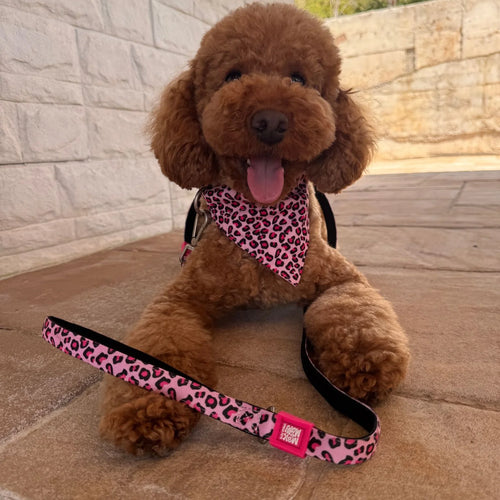 Bandana Leopard Pink para perros Max & Molly