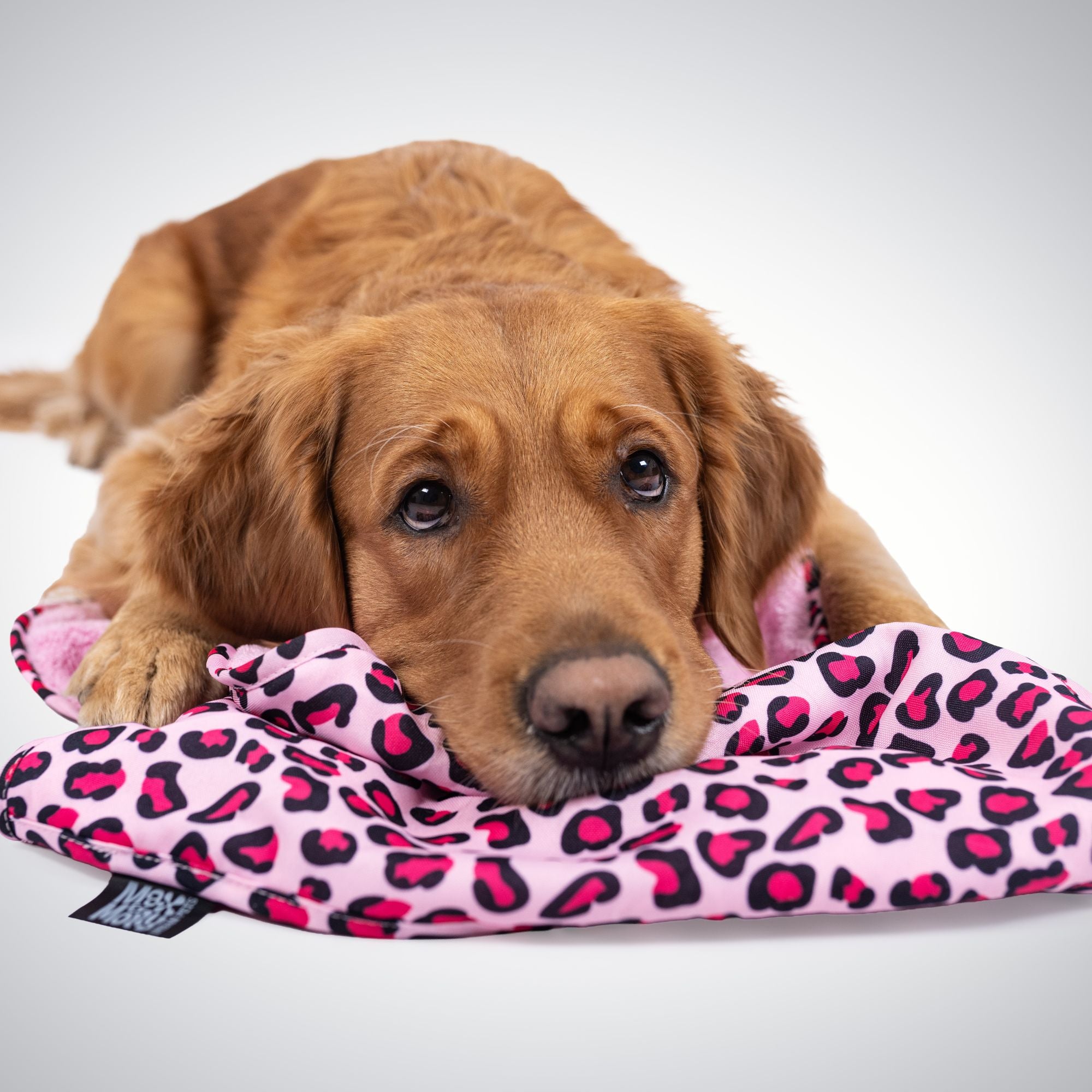 Dog Towel - Leopard Pink
