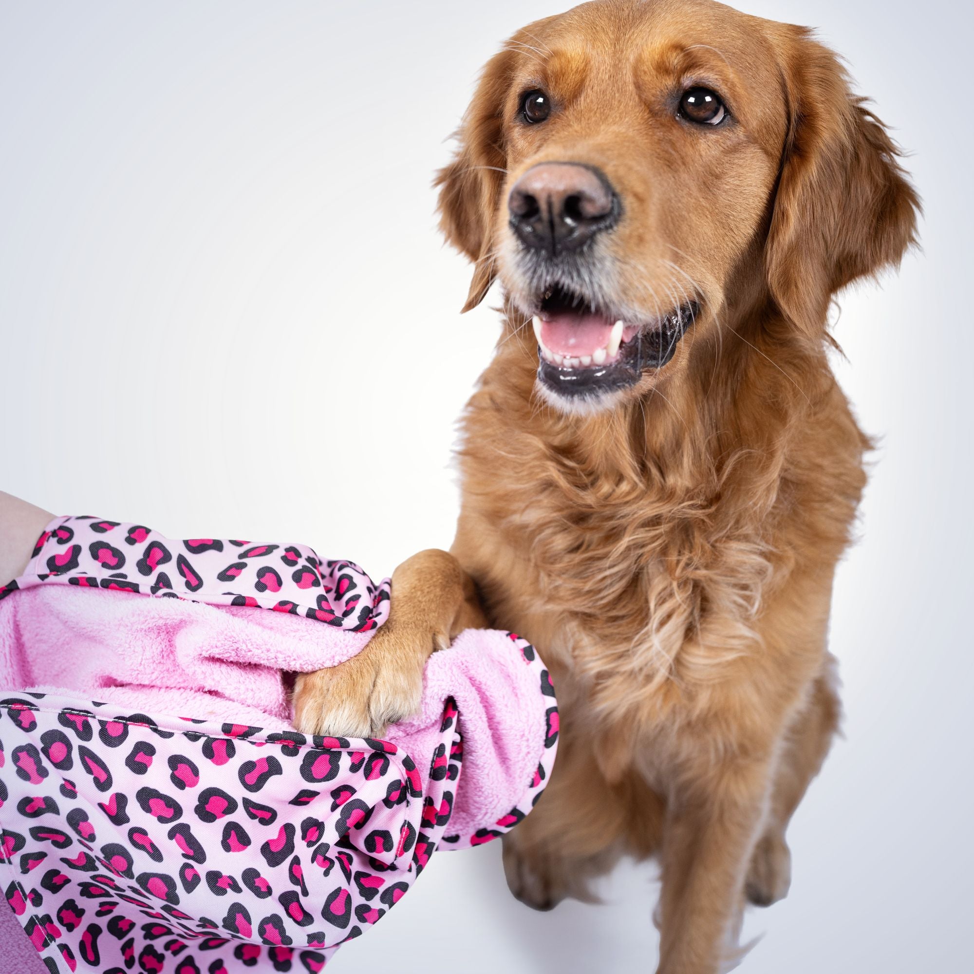 Dog Towel - Leopard Pink