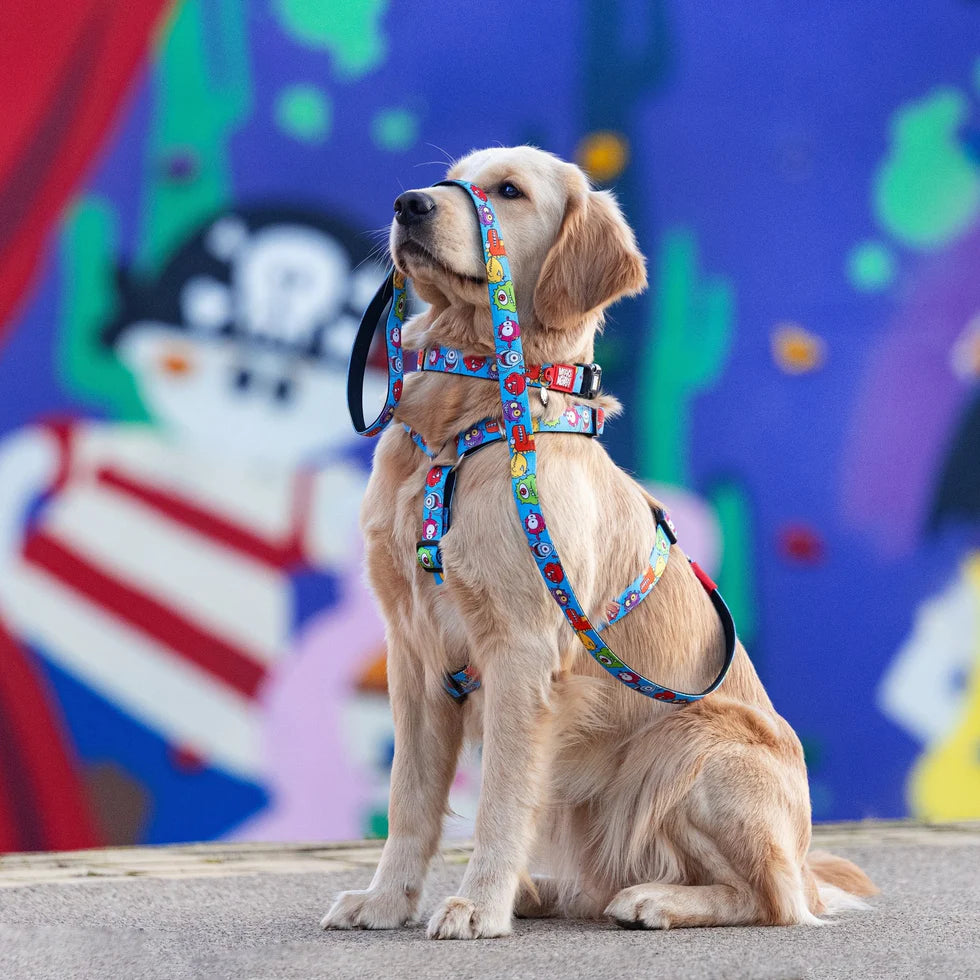 Correa Little Monsters Max & Molly para perros