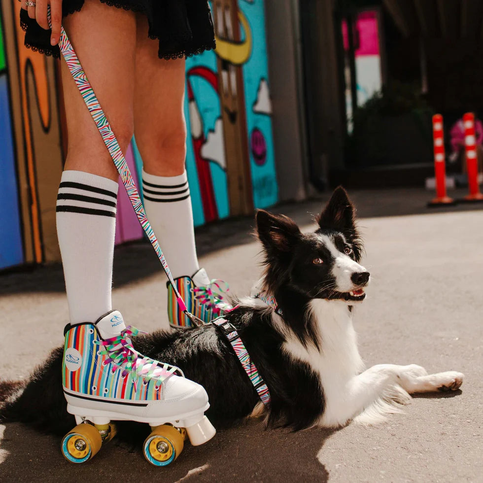 Collar Gotcha Smart ID Magic Zebra Max & Molly para perros