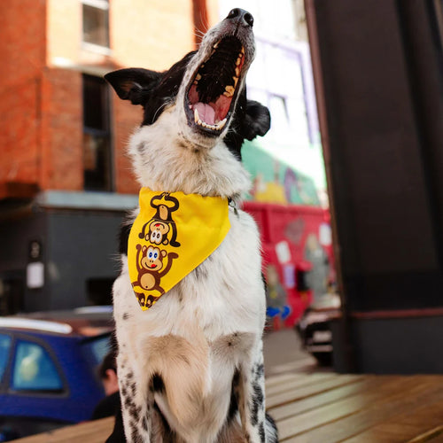 Bandana Monkey Maniac para perros Max & Molly