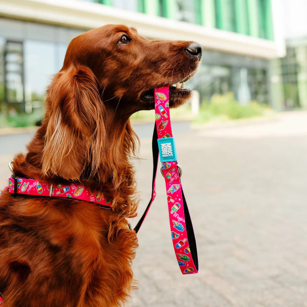 Collar Gotcha Smart ID Magical Max & Molly para gatos