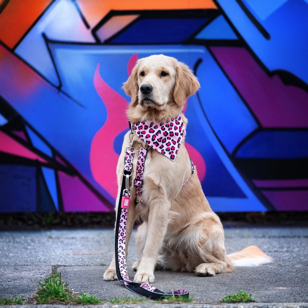 Bandana Leopard Pink para perros Max & Molly