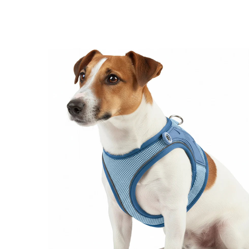 Arnés Air Vest Matrix 2.0 Ocean para perros de Max & Molly