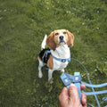 Tracking Leash - Matrix 2.0 Ocean