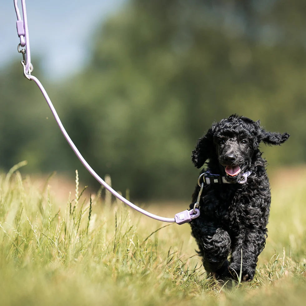 Correa Rope Leash Matrix 2.0 Lavender Max & Molly para perros 3 metros