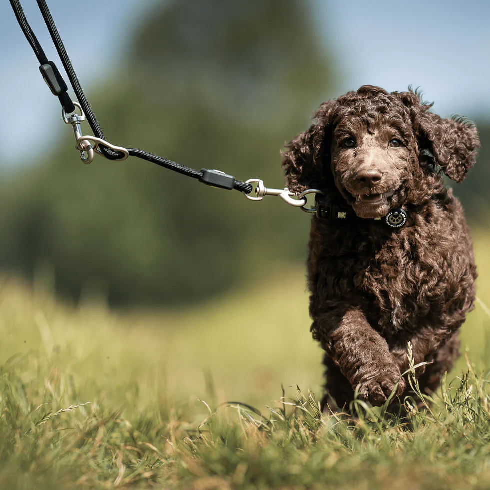 Correa Rope Leash Matrix 2.0 Black Max & Molly para perros 3 metros