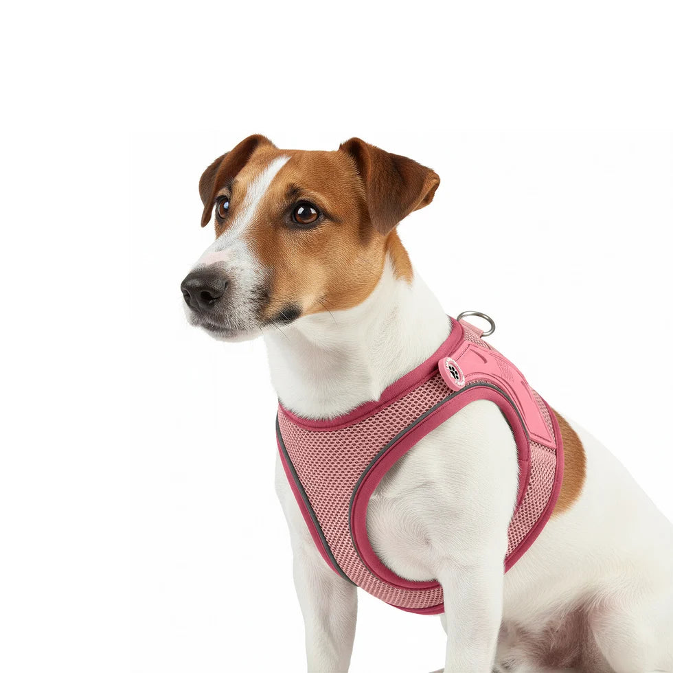 Detalle del arnés Air Vest Matrix 2.0 Rose para perros de Max & Molly