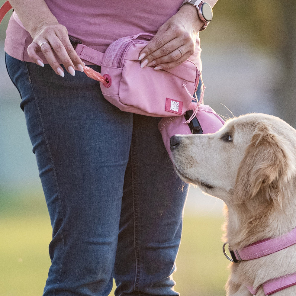 Bolsa de entrenamiento Matrix 2.0 Rose Max & Molly