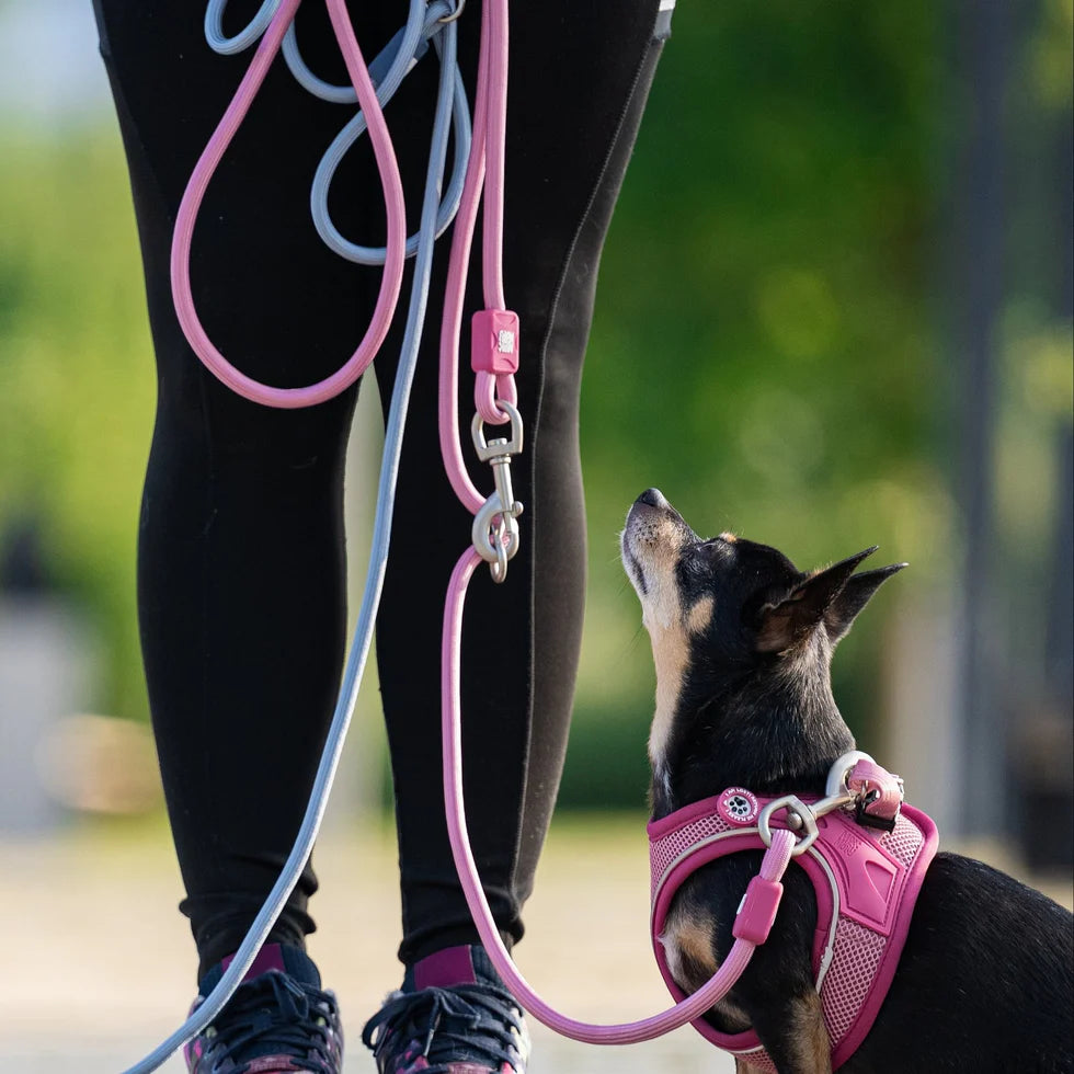 Correa Rope Leash Matrix 2.0 Rose Max & Molly para perros