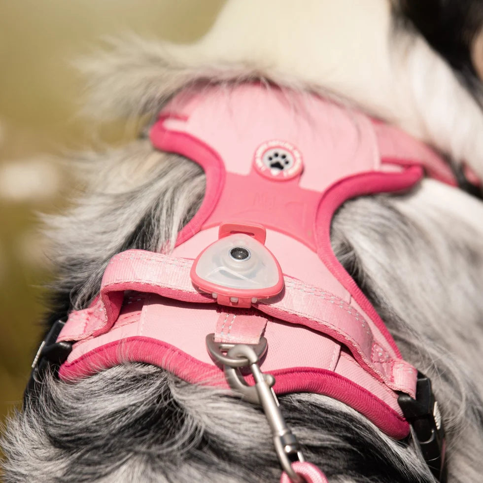 Arnés Sport Matrix 2.0 Rose para perros de Max & Molly