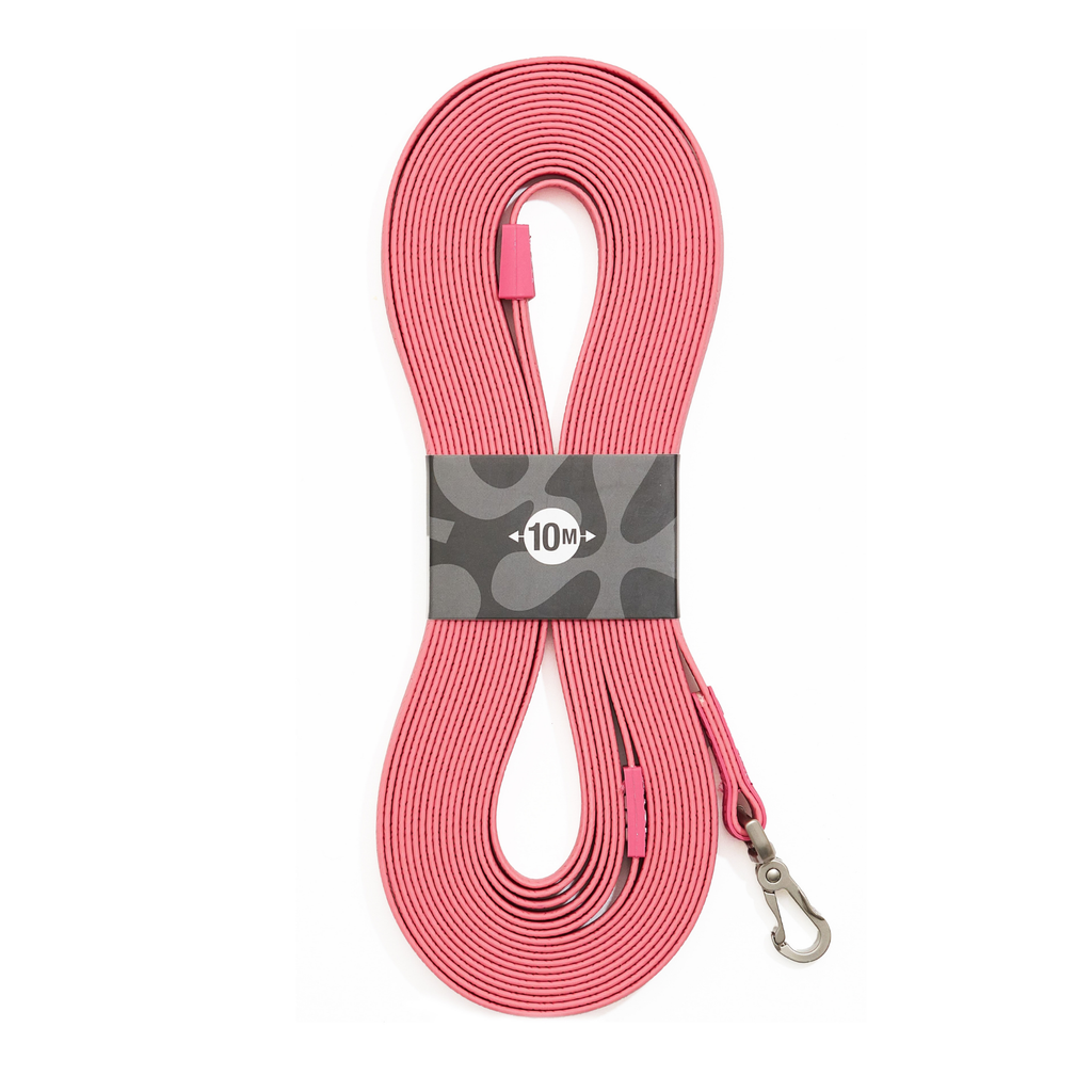 Tracking Leash - Matrix 2.0 Rose