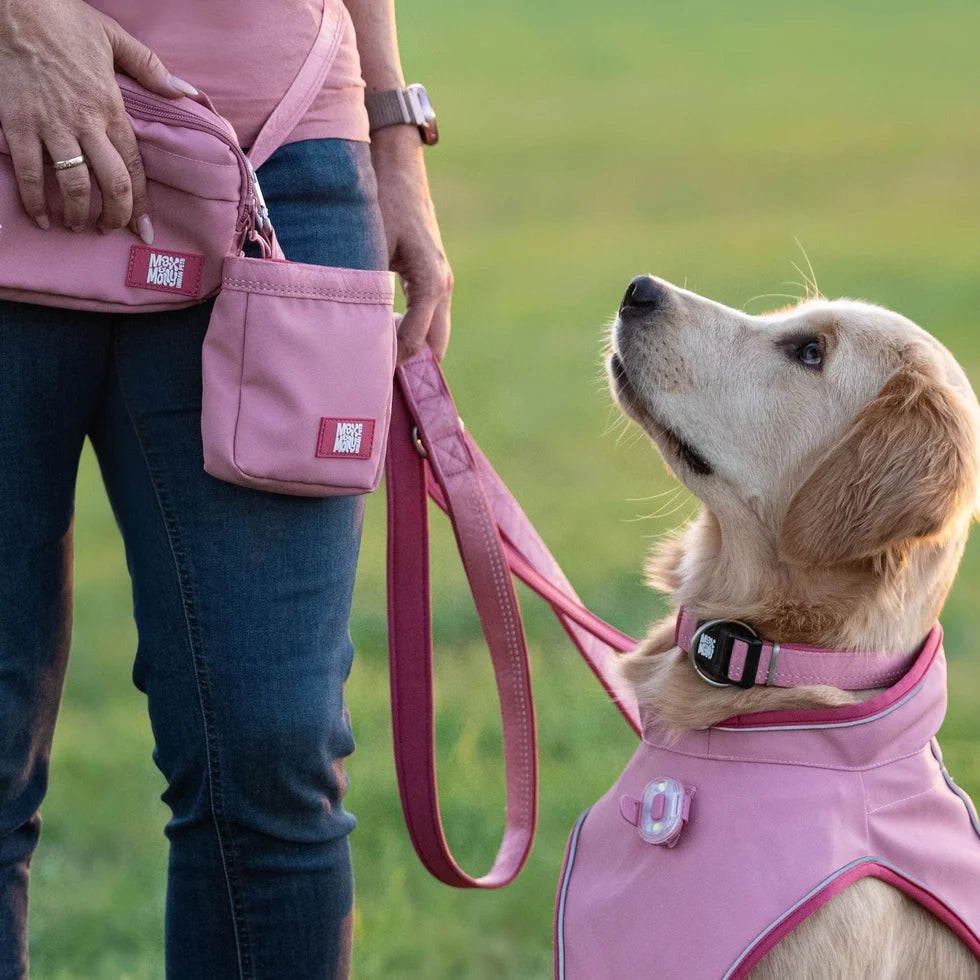 Detalle de la correa multifunción Matrix 2.0 Rose para perros