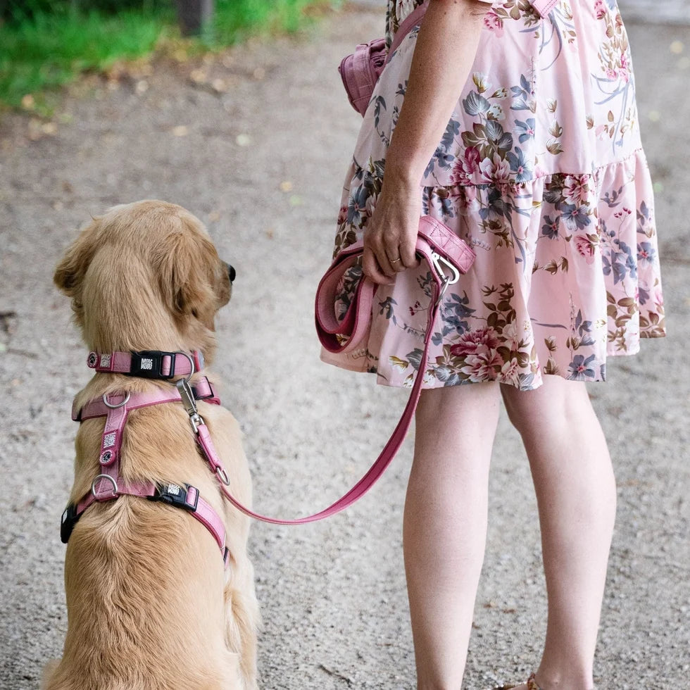 Detalle de la correa multifunción Matrix 2.0 Rose para perros
