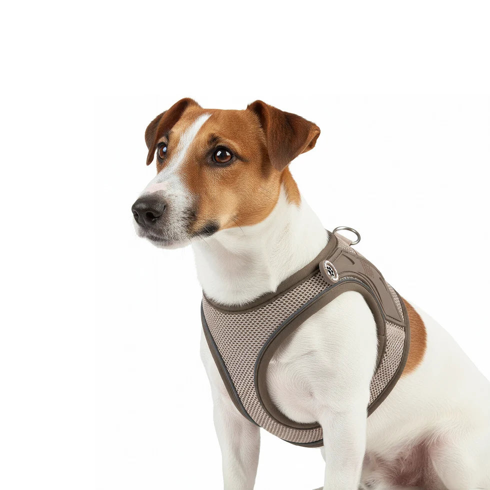 Arnés Air Vest Matrix 2.0 Sand para perros de Max & Molly
