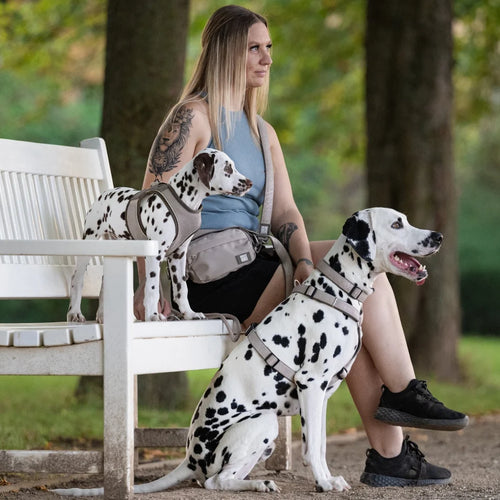 Arnés Comfort Matrix 2.0 Sand para perros de Max & Molly