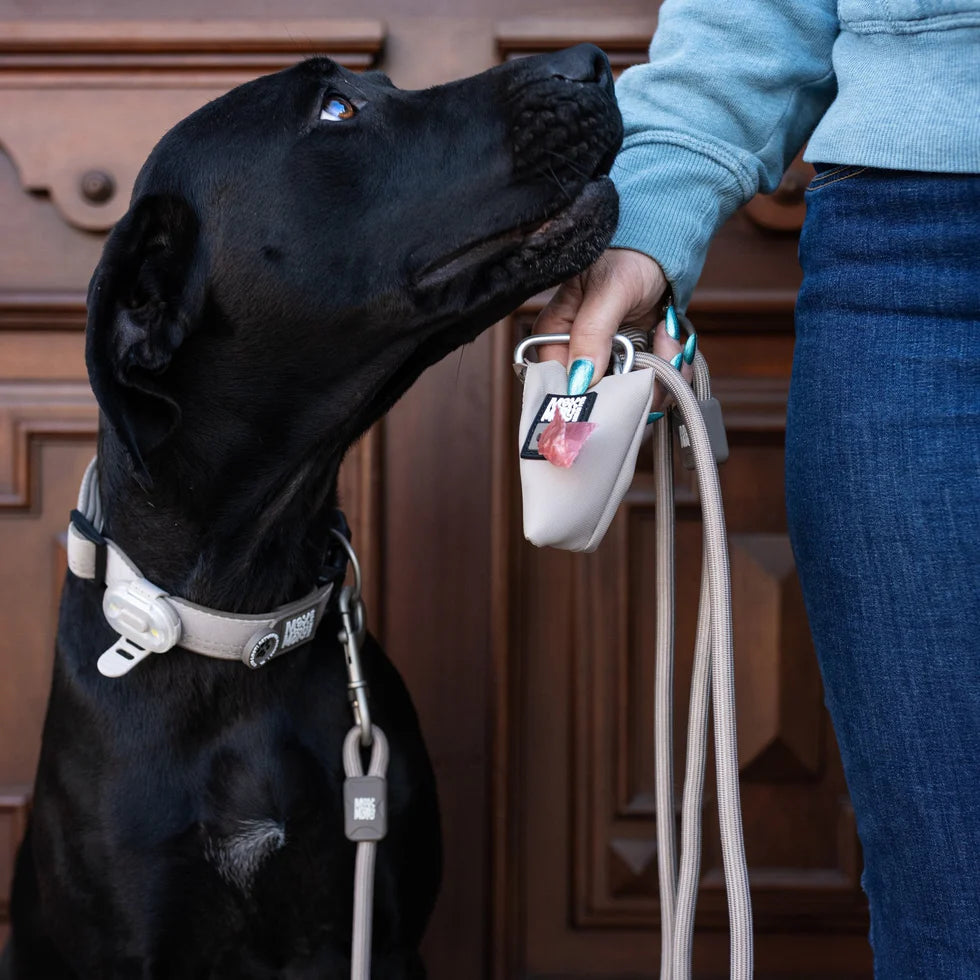 Poo Bag Dispenser Matrix 2.0 Sand Max & Molly para perros