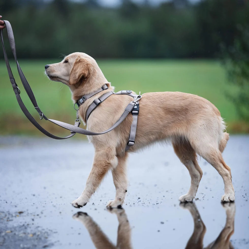 Detalle de la correa multifunción Matrix 2.0 Sand para perros