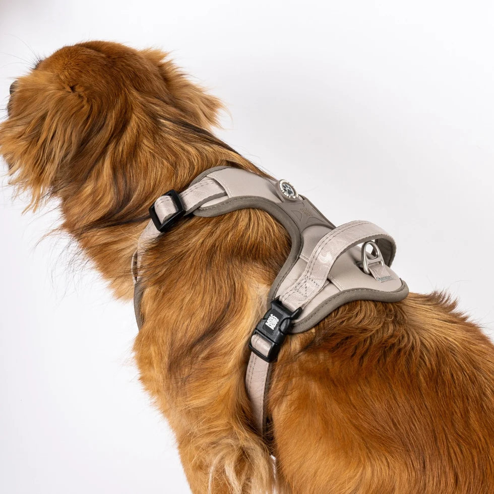 Arnés Sport Matrix 2.0 Sand para perros de Max & Molly